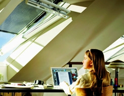 VELUX &reg;
