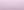 1036 rose