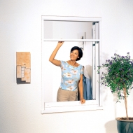 Insektenschutz Rollo Fenster