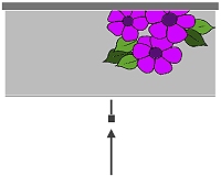Individualdruck