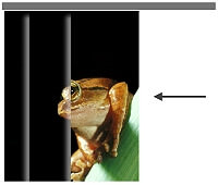 Individualdruck Lamellenvorhang Fotomotiv Vorhang öffnen Individualdruck Lamellenvorhang Fotomotiv Vorhang öffnen