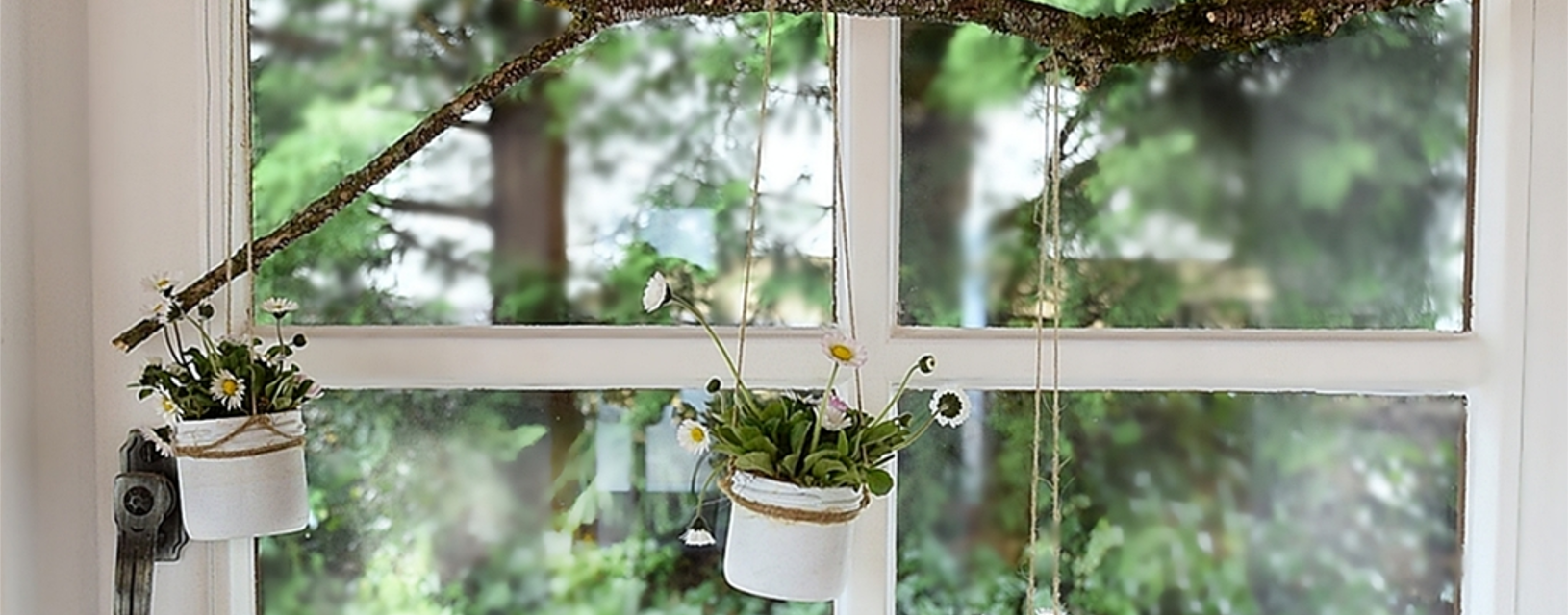 DIY - Fensterdeko mit Gänseblümchen