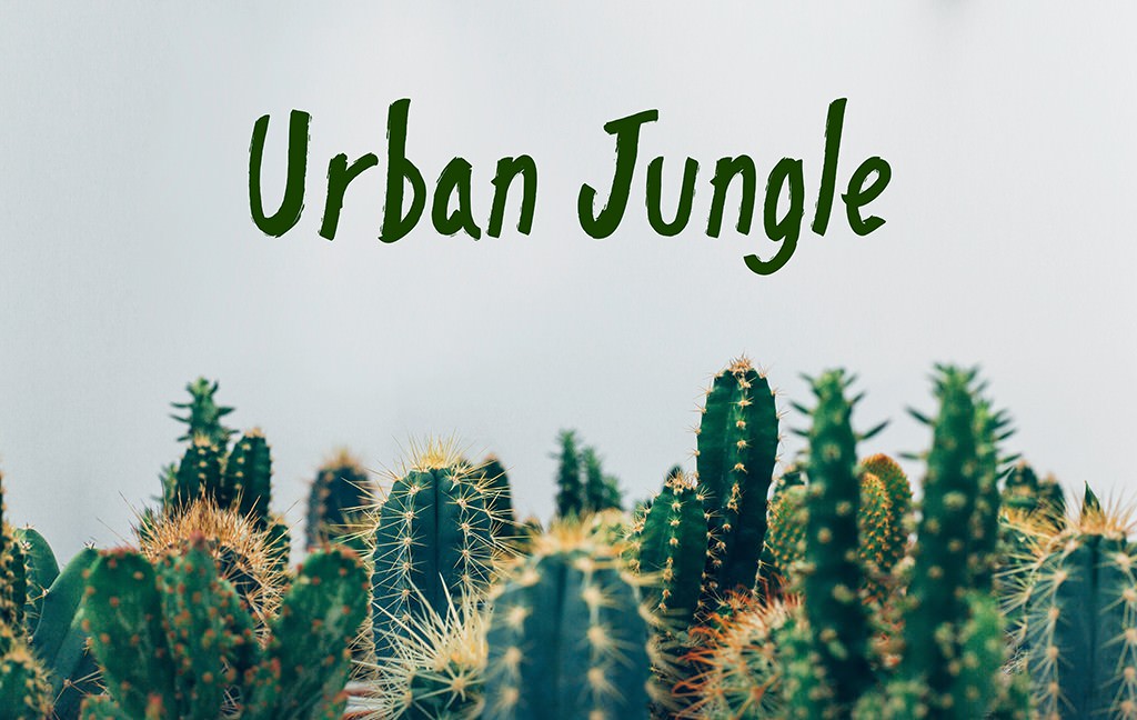 "Urban Jungle" bringt den Urwald in die Wohnung