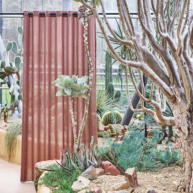 Rote Gardinen Transparent