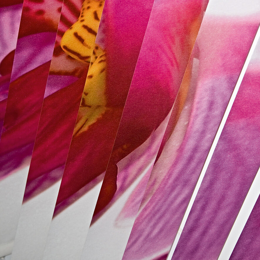 Lamellenvorhänge mit eigenen Fotos zu, Beispiel Orchideen möglich mit dem JalouCity Individualdruck-Service Lamellenvorhänge mit Individualdruck Orchideen