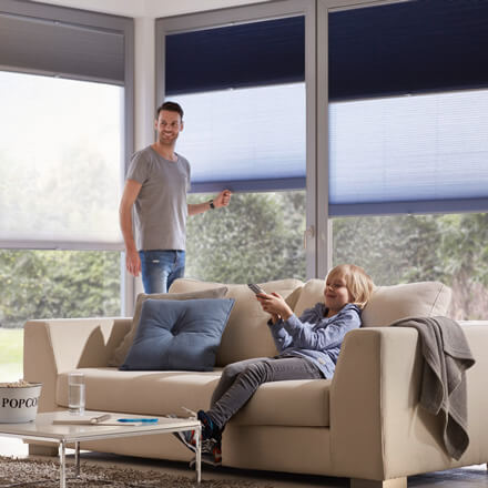 Blau-Graue Tag und Nacht Plissees im Wohnzimmer