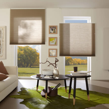 Doppelschnur Wabenplissee in Braun