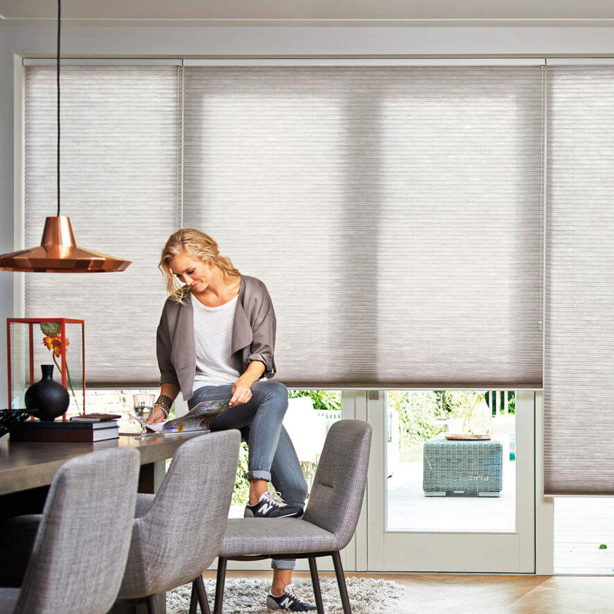 Stylishe Graue Wabenplissees freihängend (F1) im Wohnzimmer Wabenplissee Modell F1 im Wohnzimmer