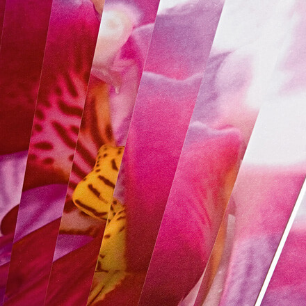 Lamellenvorhänge mit individuell bedruck