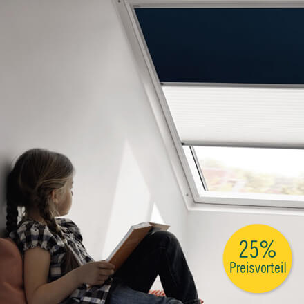 Plissee & Verdunkelungsrollo als Vorteilset von VELUX® VELUX®-Vorteilset Plisssee & Verdunkelungsrollo