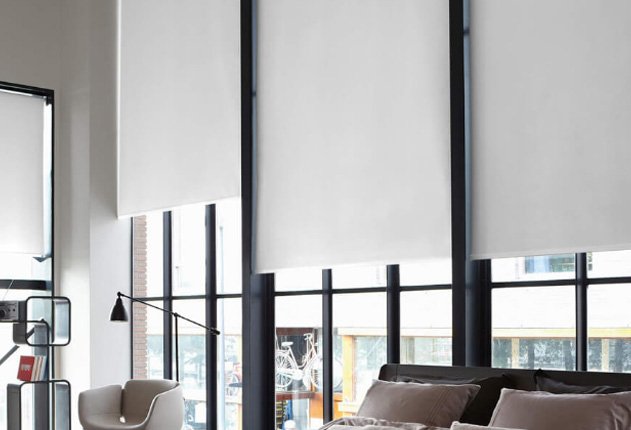 Verdunkelungs Plissee von JalouCity