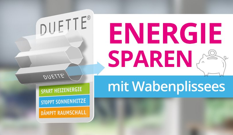 Wabenplissees am Fenster